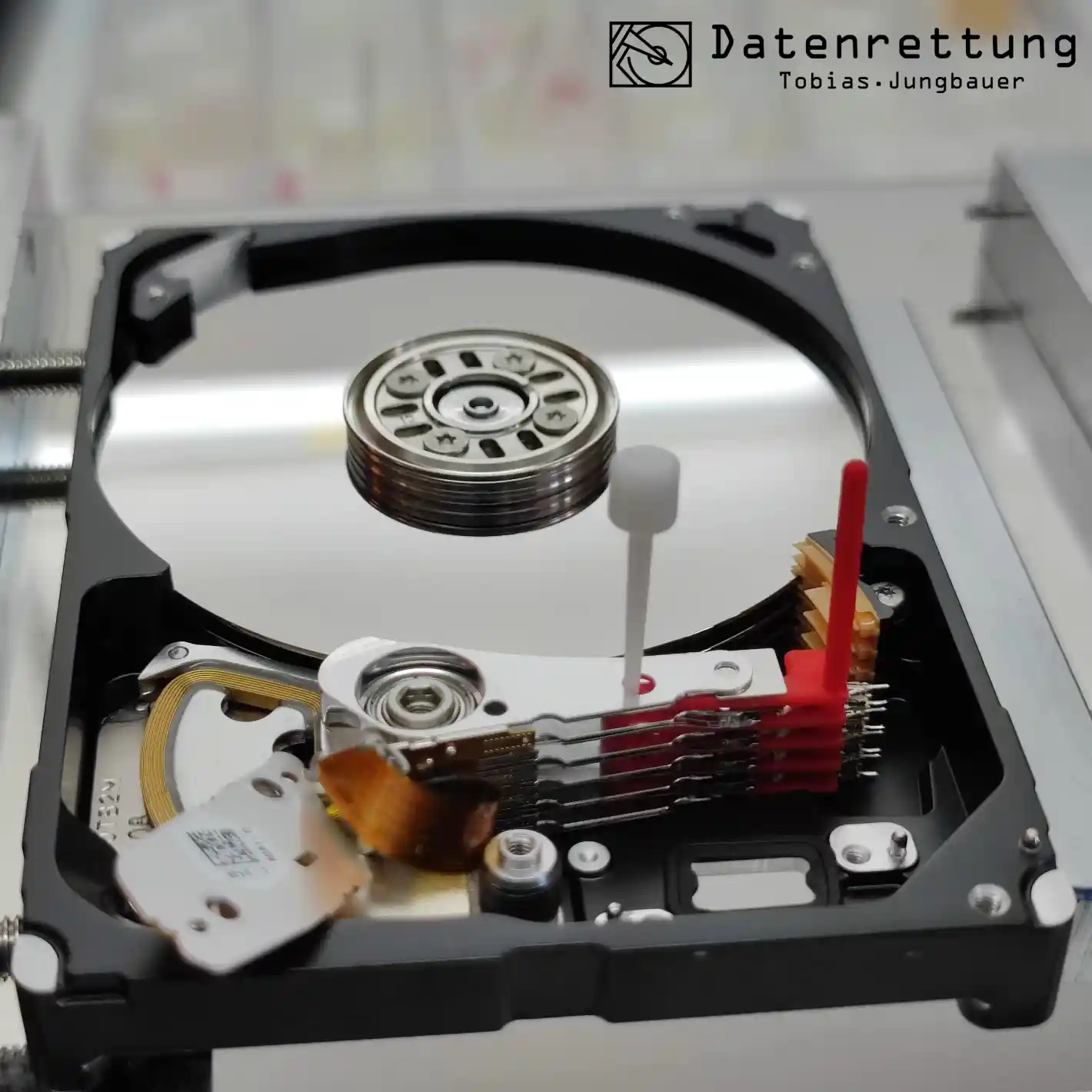 HDD Datenrettung im Reinraum